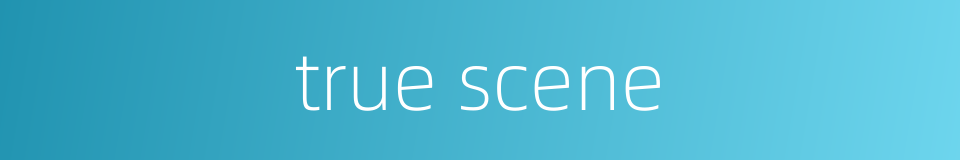 true scene的同义词