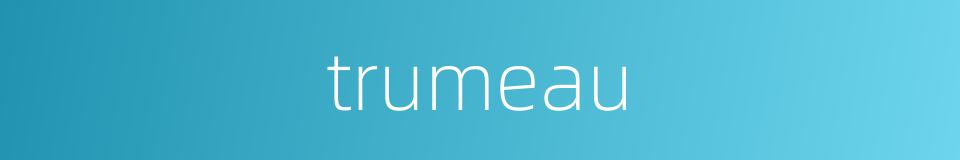 trumeau的同义词