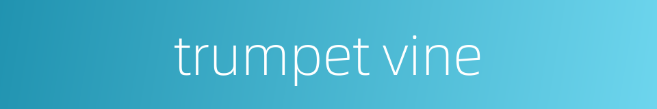 trumpet vine的同义词
