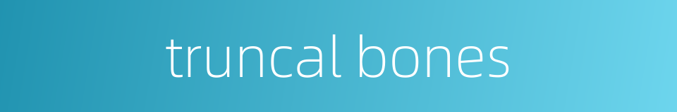 truncal bones的同义词