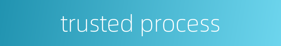 trusted process的同义词