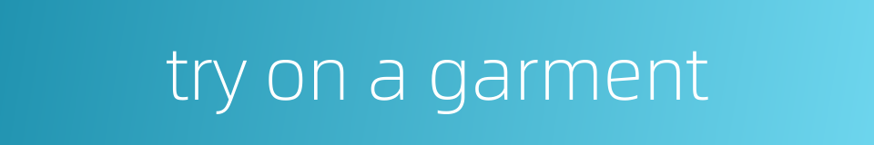 try on a garment的同义词