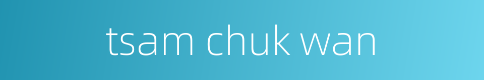 tsam chuk wan的同义词