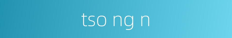 tso ng n的同义词