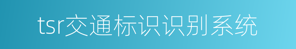 tsr交通标识识别系统的同义词