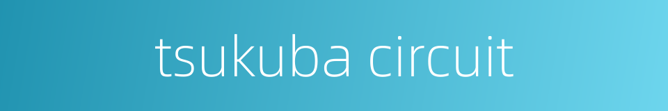 tsukuba circuit的同义词