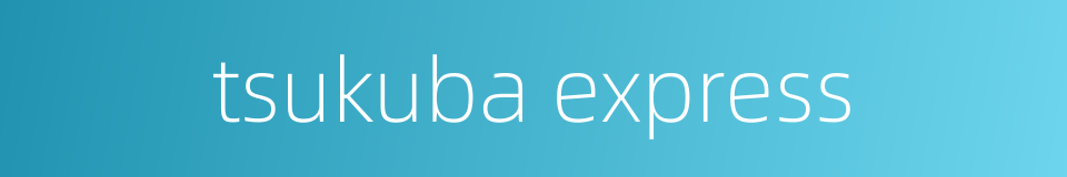 tsukuba express的同义词