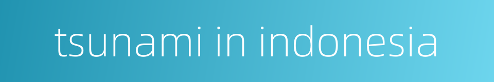 tsunami in indonesia的同义词