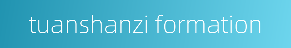 tuanshanzi formation的同义词