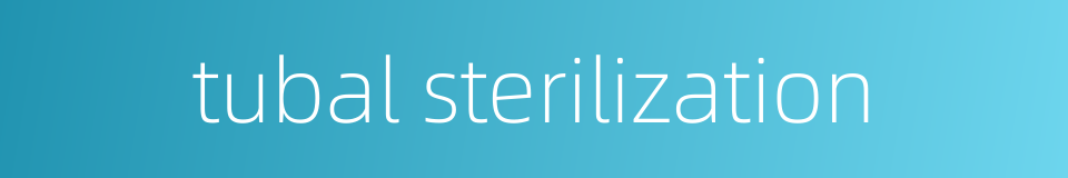 tubal sterilization的同义词