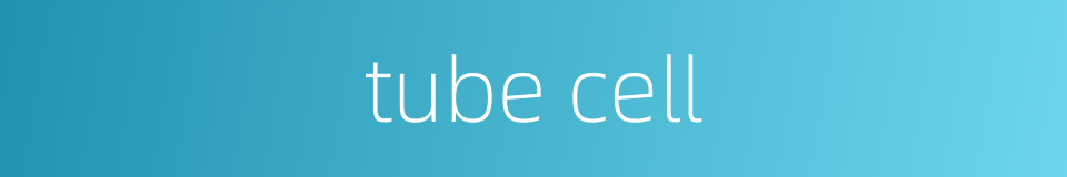 tube cell的同义词