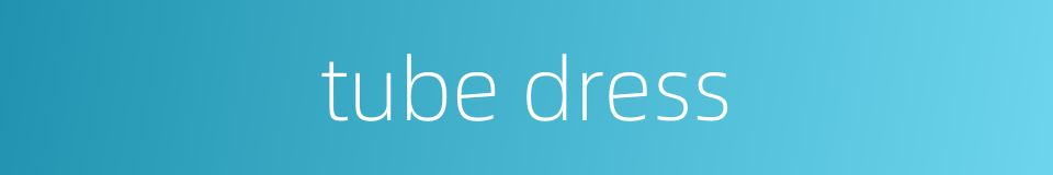 tube dress的同义词