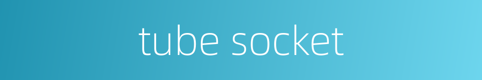tube socket的同义词