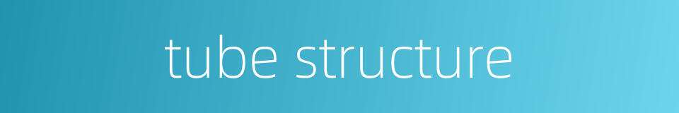 tube structure的同义词