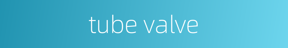 tube valve的同义词