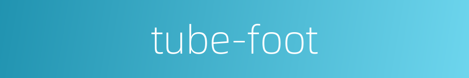 tube-foot的同义词