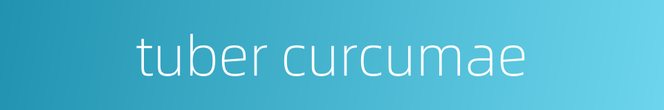 tuber curcumae的同义词