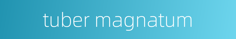 tuber magnatum的同义词