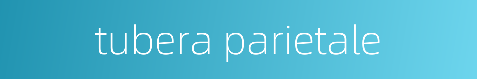 tubera parietale的同义词