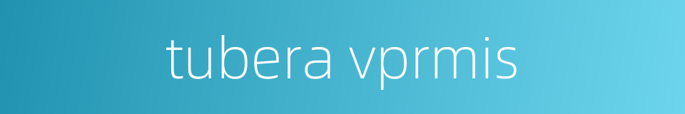 tubera vprmis的同义词