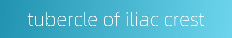 tubercle of iliac crest的同义词