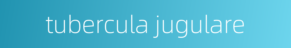 tubercula jugulare的同义词