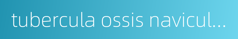 tubercula ossis navicularis的同义词