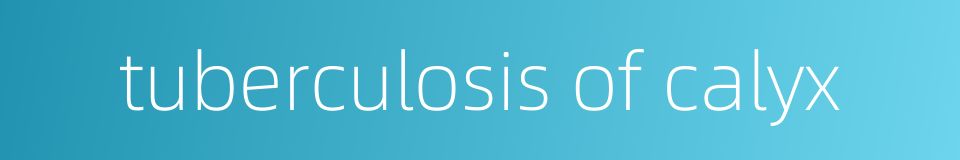 tuberculosis of calyx的同义词