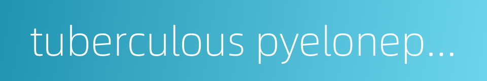 tuberculous pyelonephritis的同义词