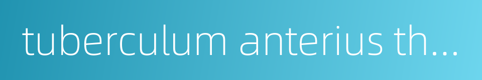 tuberculum anterius thalami的同义词