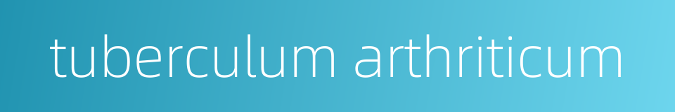 tuberculum arthriticum的同义词