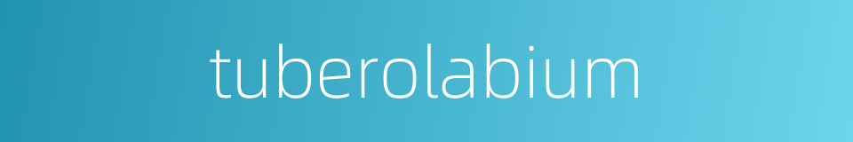tuberolabium的同义词