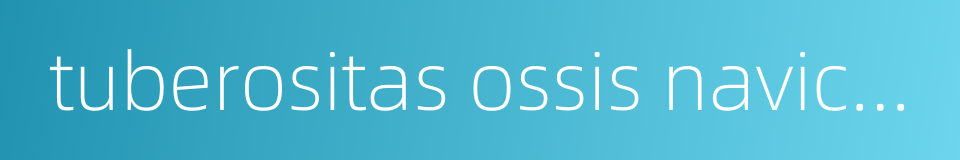 tuberositas ossis navicularis的同义词