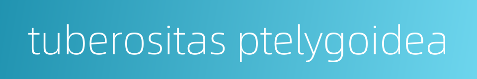 tuberositas ptelygoidea的同义词