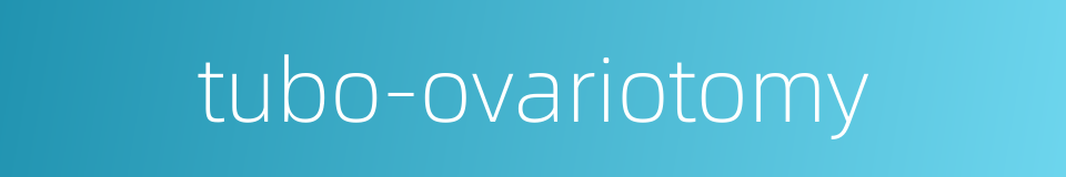 tubo-ovariotomy的同义词