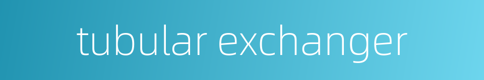 tubular exchanger的同义词