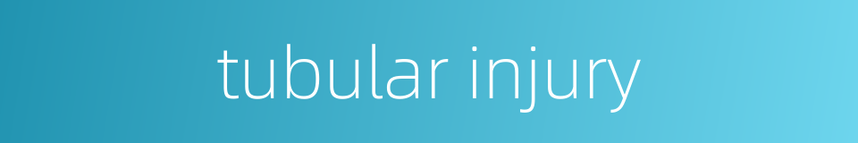 tubular injury的同义词