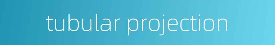 tubular projection的同义词