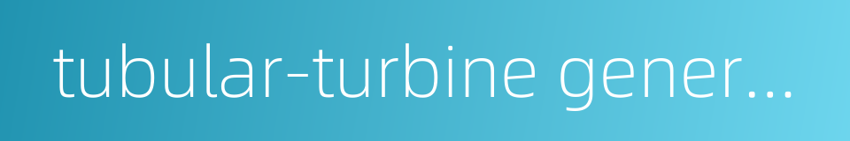 tubular-turbine generator的同义词