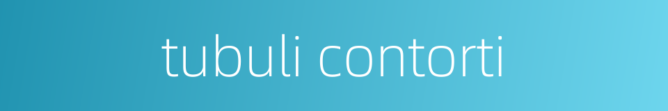 tubuli contorti的同义词