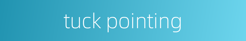 tuck pointing的同义词