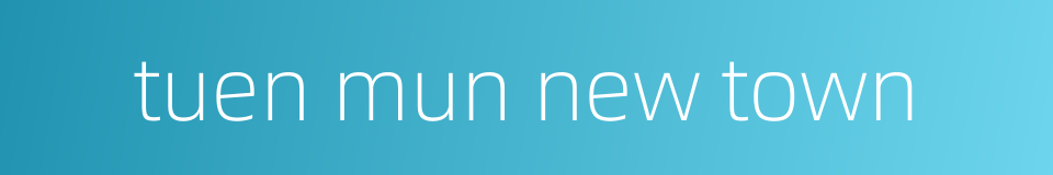 tuen mun new town的同义词