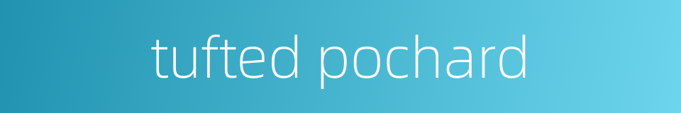 tufted pochard的同义词