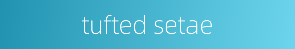 tufted setae的同义词