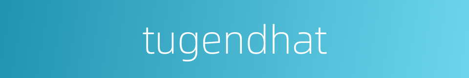 tugendhat的同义词