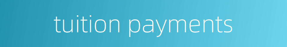 tuition payments的同义词