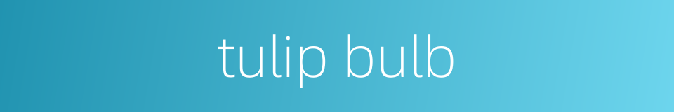 tulip bulb的同义词