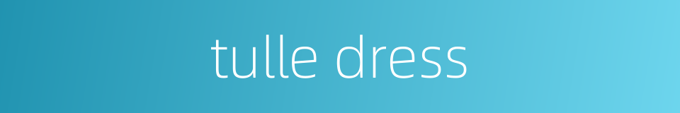 tulle dress的同义词