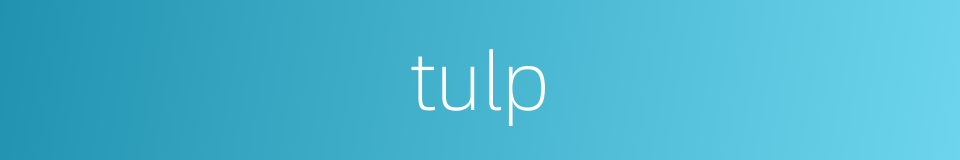 tulp的同义词