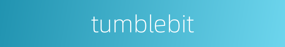 tumblebit的同义词